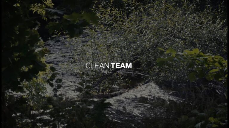 Clean Motion - This is us